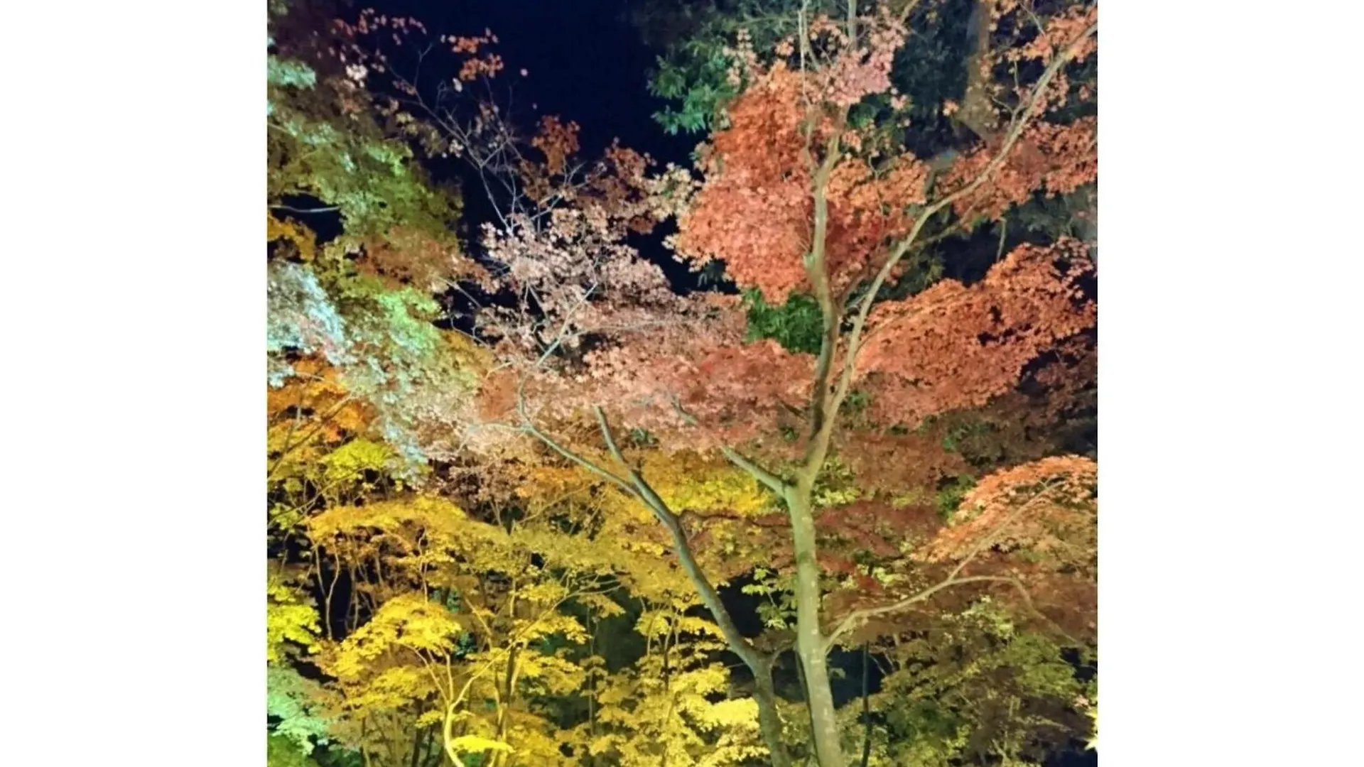 Hotel Tetora Yunokawaonsen - Vacation Stay 30541V هاكوداته