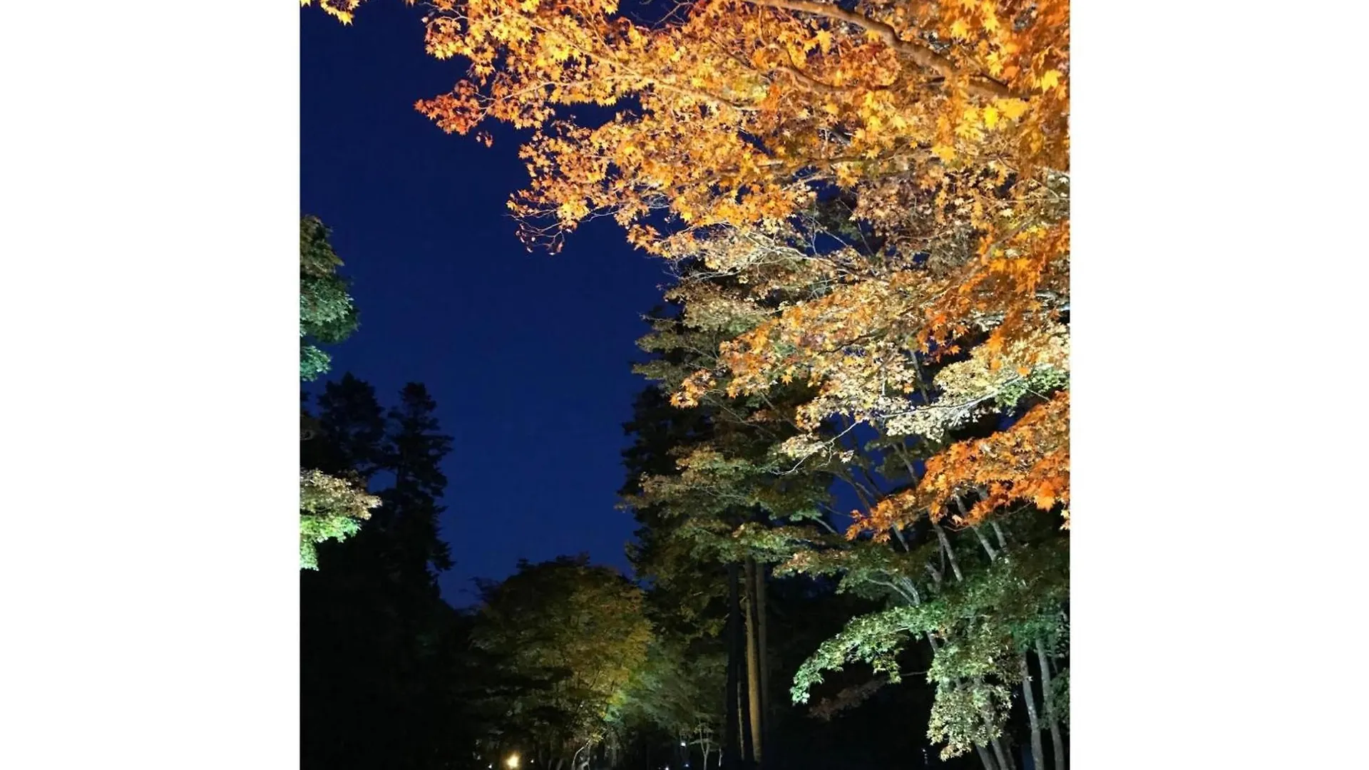 Hotel Tetora Yunokawaonsen - Vacation Stay 30541V هاكوداته